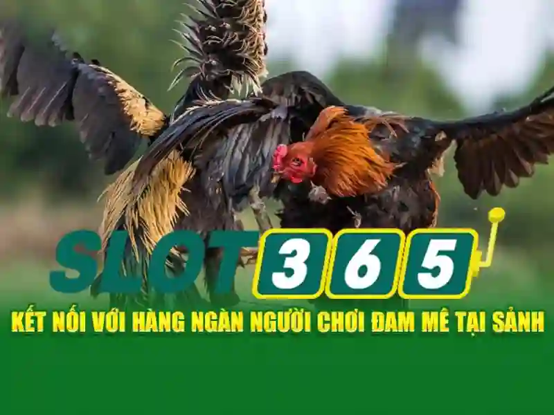 tải Slot365: Trải nghiệm đỉnh cao với slot365 vip