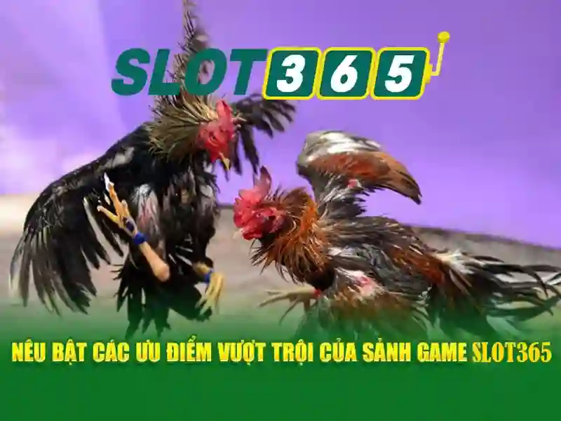 Hướng dẫn tham gia Slot365 một cách an toàn