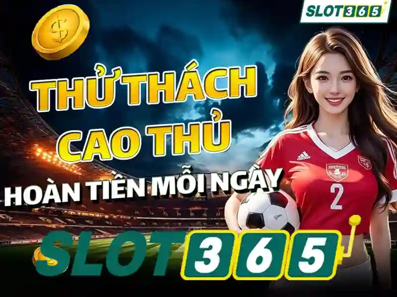Trải nghiệm người dùng và phản hồi cộng đồng