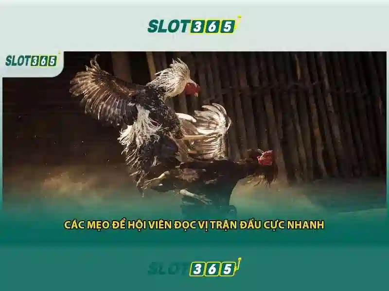 Slot365: Nền tảng cá cược trực tuyến uy tín