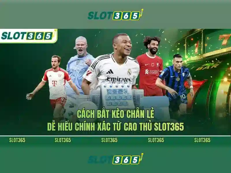 Slot365: Đánh giá chi tiết, trò chơi và mẹo chơi cho người Việt