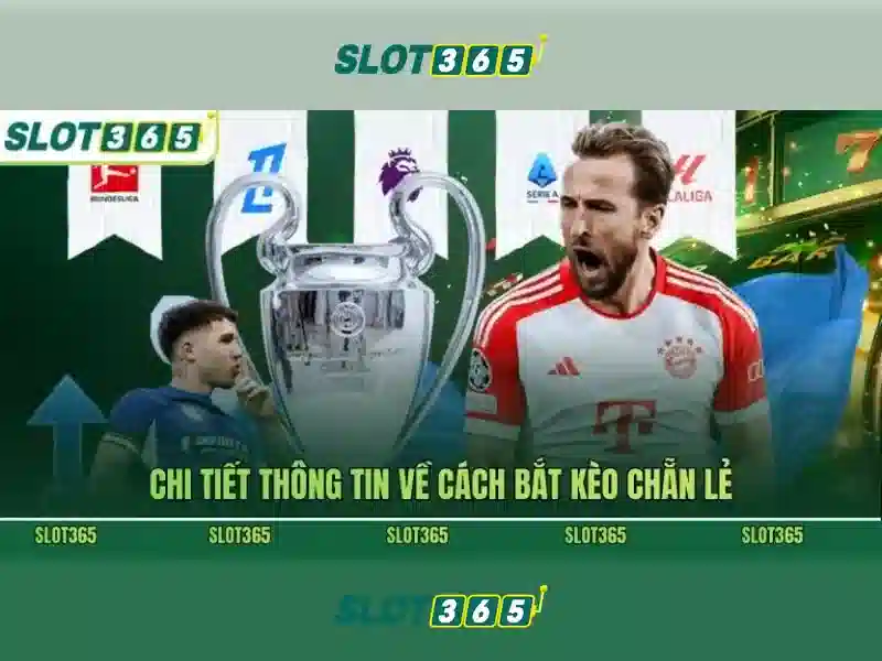 'Trải nghiệm người dùng và thanh toán'