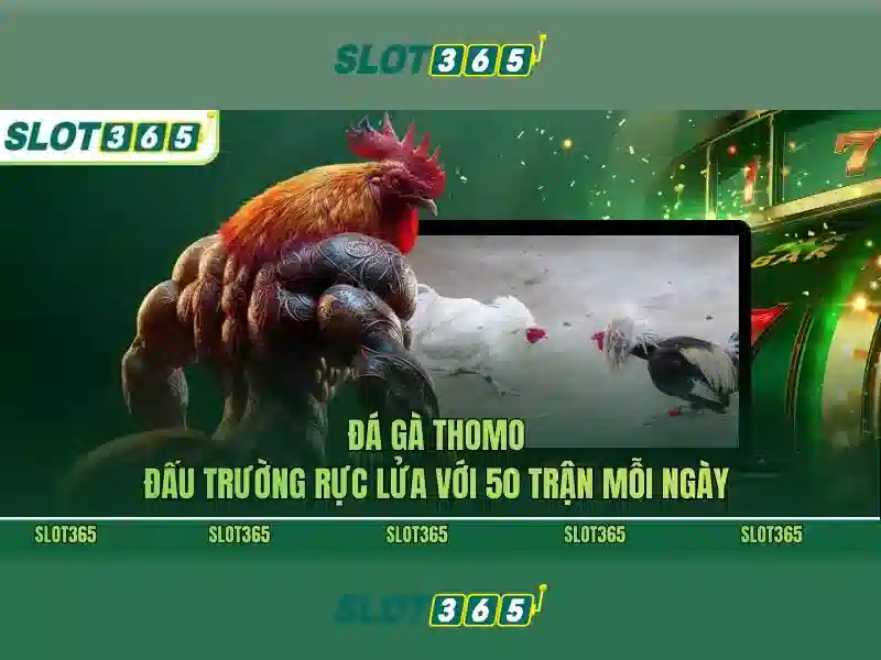 Slot365 – Tổng quan và trải nghiệm người chơi