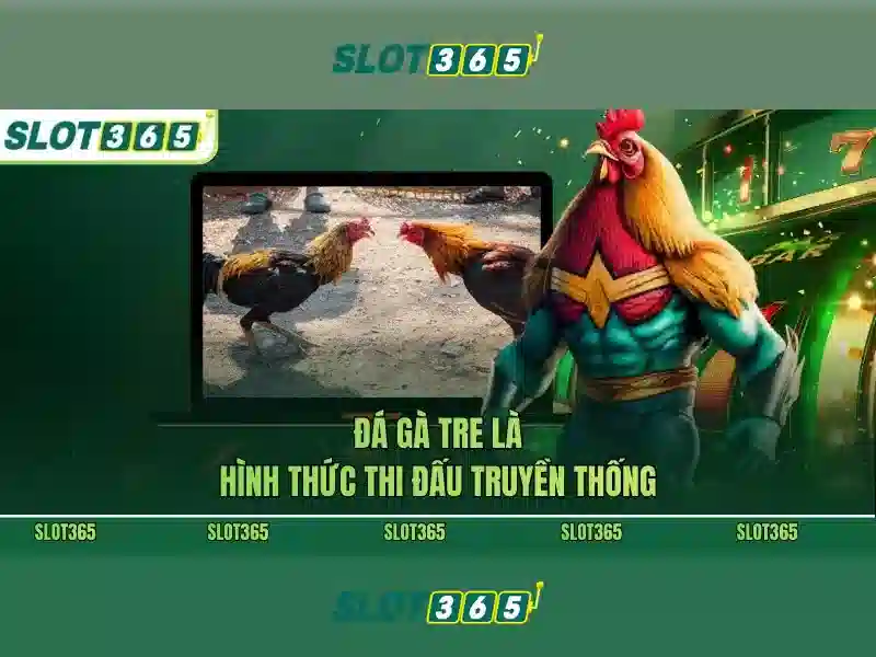 Trải nghiệm người dùng và giao diện