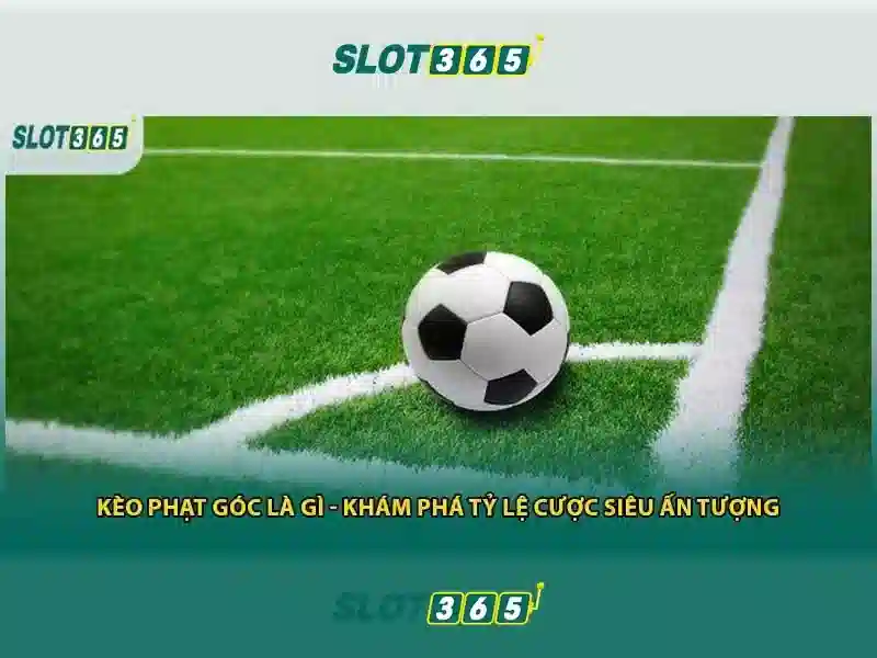 Slot365: Trải nghiệm máy xèng trực tuyến tuyệt vời