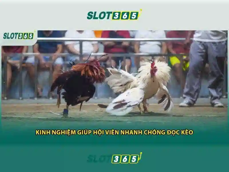Trò chơi và trải nghiệm người dùng