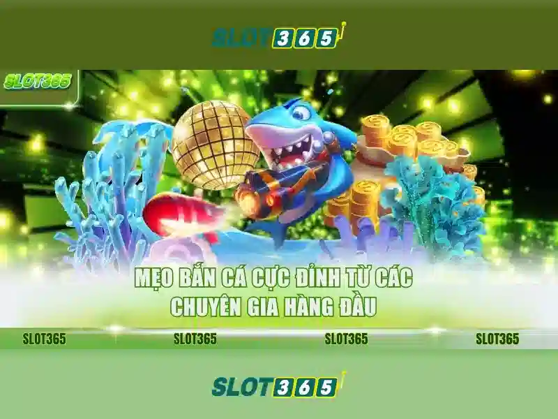 Slot365: Khám phá nền tảng đánh bạc trực tuyến
