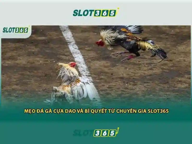 slot365 - Nền tảng trò chơi xè bạc trực tuyến an toàn và giải trí