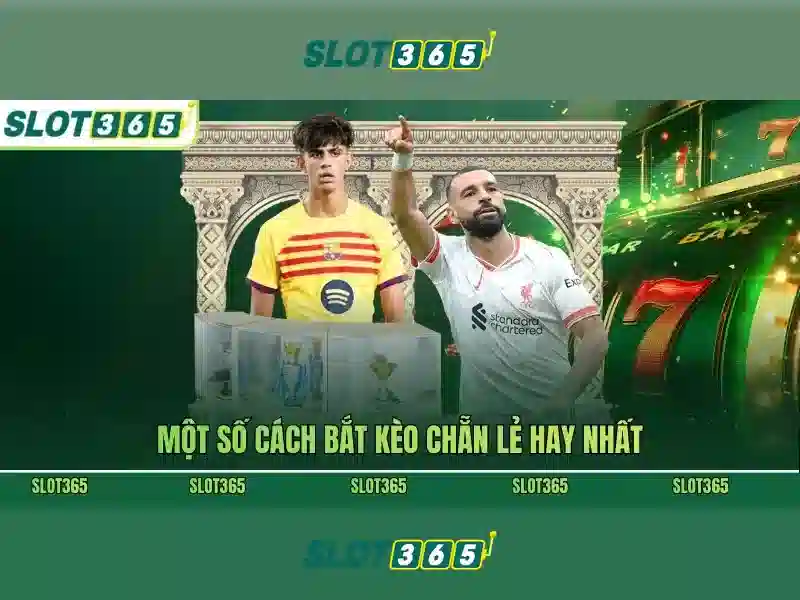Giao diện và trải nghiệm người dùng