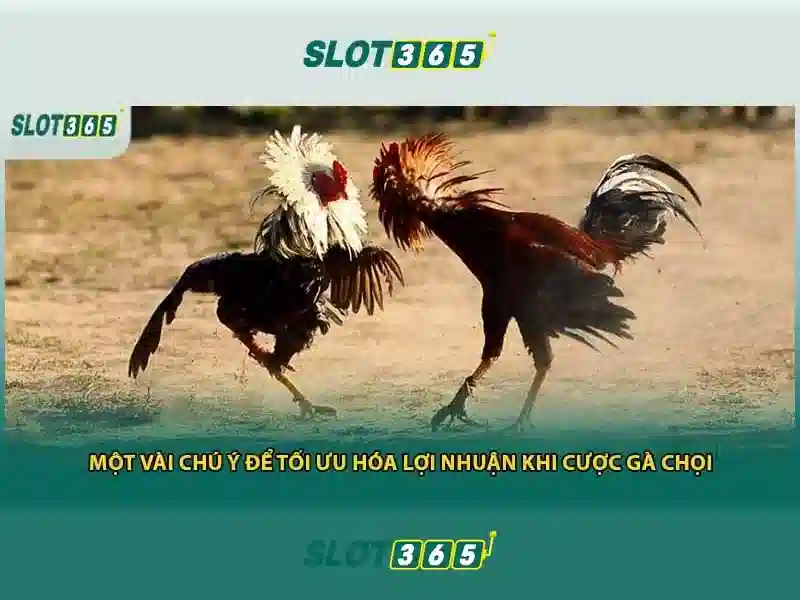 Slot365 — Trải nghiệm chơi slot trực tuyến tuyệt vời