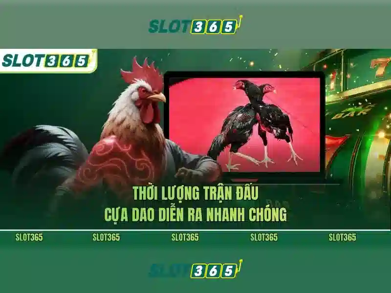 Slot365 – Nền tảng đánh bạc trực tuyến an toàn và phong phú