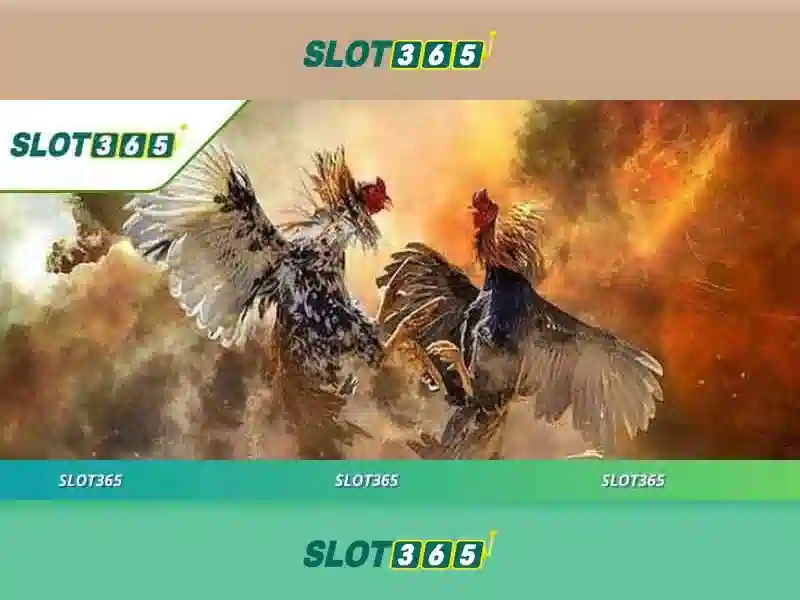 slot365 tang 200k – Khám phá giá trị và trải nghiệm