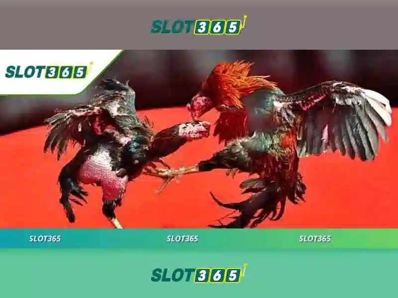 Slot365 - Sòng bạc trực tuyến và trò chơi may mắn