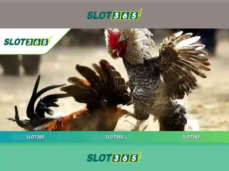 Slot365: Trải nghiệm chơi slot trực tuyến đáng tin cậy và thú vị