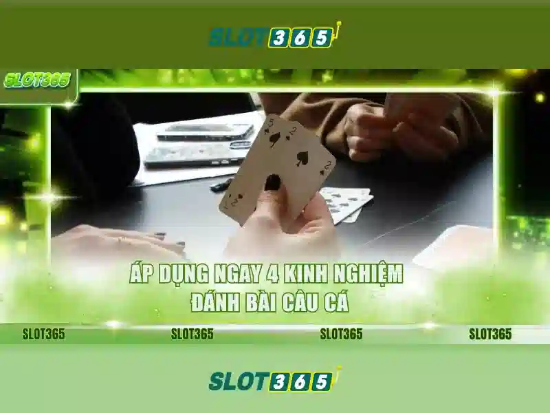 Hỗ trợ khách hàng và giao diện người dùng\n\n