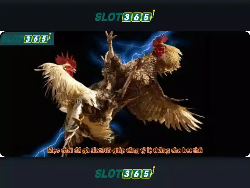 Slot365 - Tổng quan về nền tảng slot trực tuyến