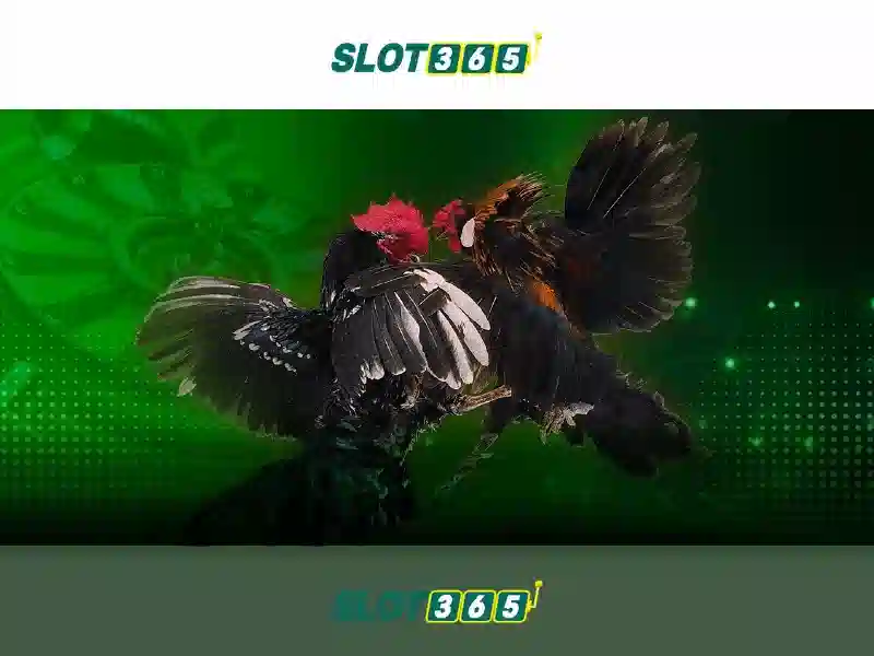 Slot365 — Khám phá nền tảng slot trực tuyến