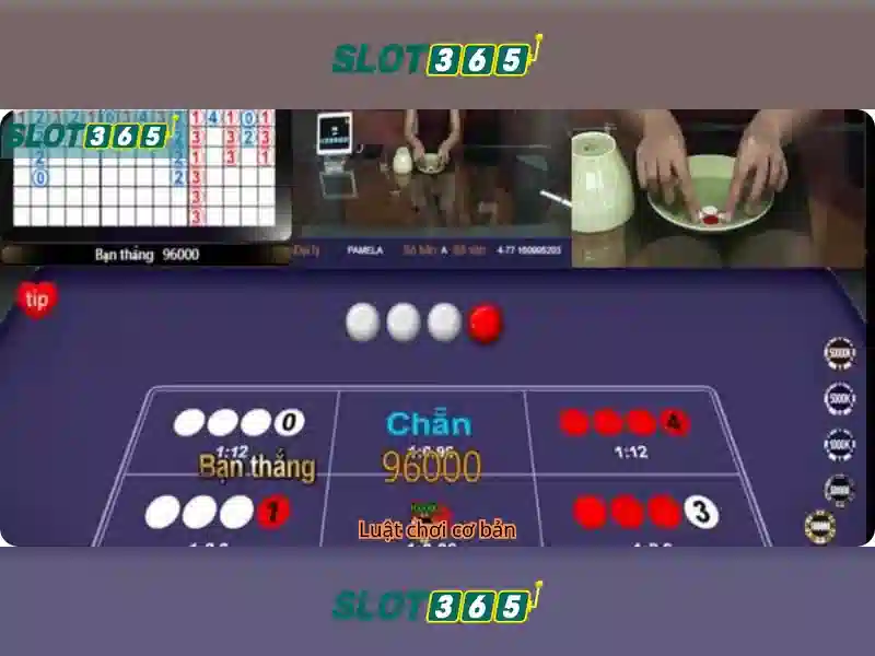Slot365: Nền tảng slot trực tuyến an toàn và tiện lợi