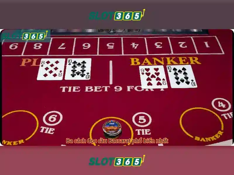 Slot365 - động cơ và nền tảng