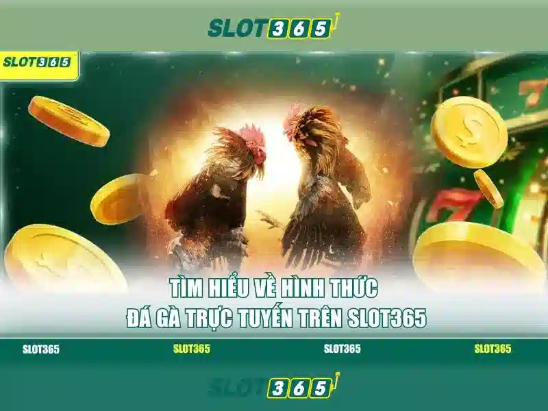 Giao diện người dùng và trải nghiệm