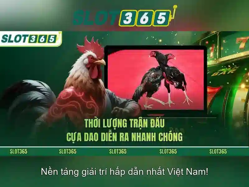 Trải nghiệm người dùng và giao diện