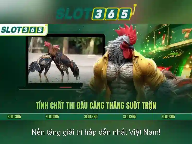 Slot365 – Trải nghiệm slot trực tuyến an toàn và tiện lợi