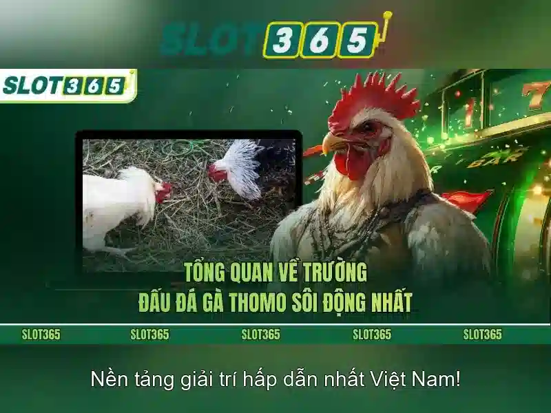 Slot365 – Tổng quan về nền tảng chơi slot trực tuyến