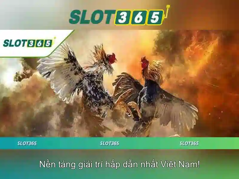 Slot365: Nơi chơi slot trực tuyến uy tín và giải trí