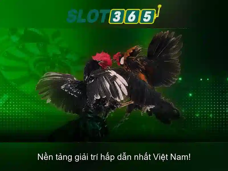 Kết luận và tầm quan trọng của Slot365