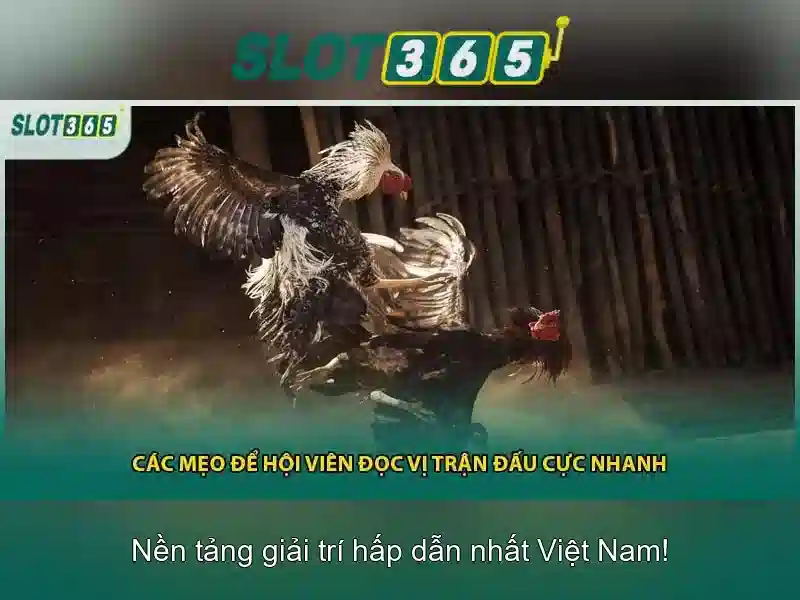 Cac tro choi da dang tai Slot365