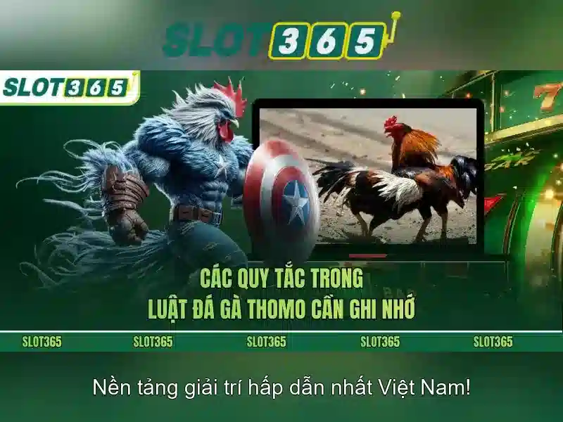 Slot365 - Nền tảng xèng trực tuyến phổ biến