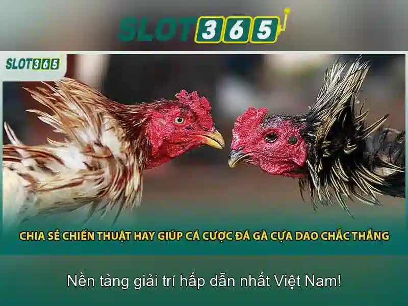 Những lợi ích khi chơi tại Slot365