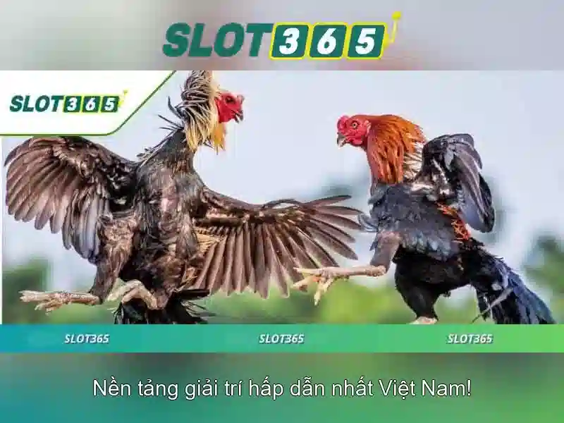 Slot365: Nền tảng trò chơi máy đánh xèng trực tuyến