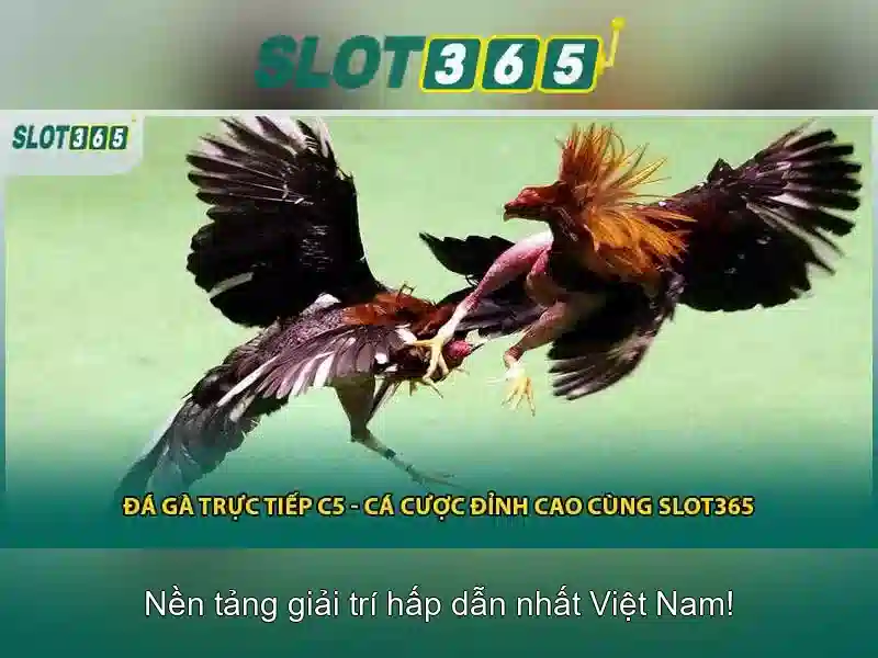 Slot365 - Trải nghiệm chơi slot trực tuyến tại Việt Nam