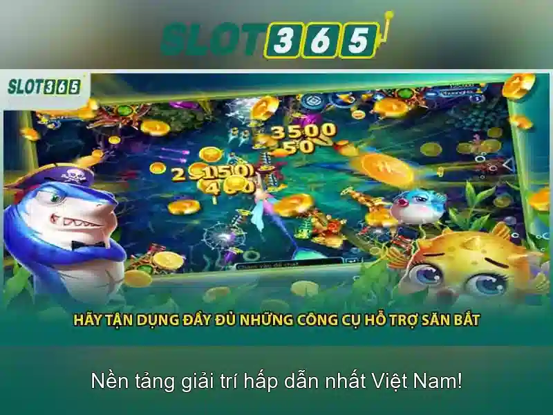 Giao diện và trải nghiệm người dùng