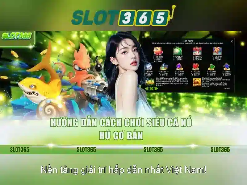 Giao diện người dùng và trải nghiệm\n\n