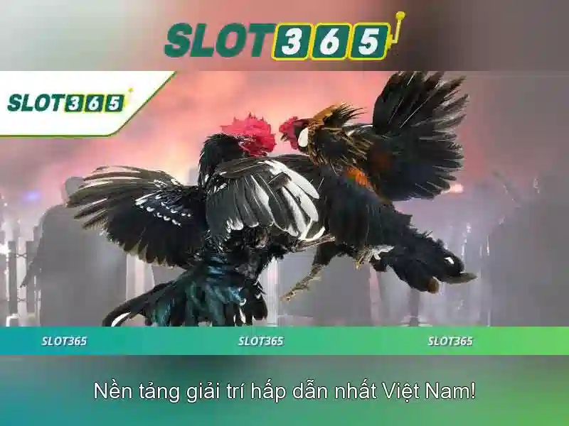 Slot365 là gì?