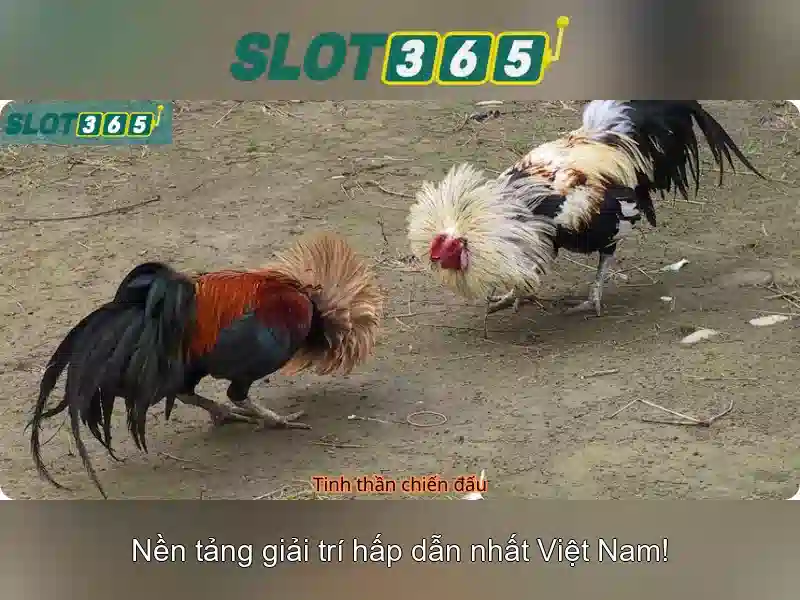 Slot365: Trải nghiệm trò chơi slot trực tuyến an toàn và thú vị