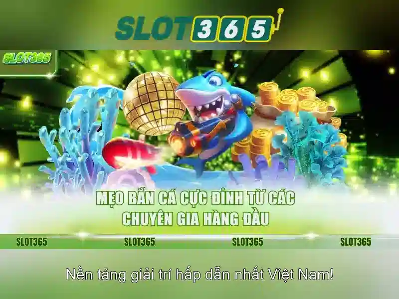 slot365 tải app – Trải nghiệm Slot365 và hệ sinh thái giải trí