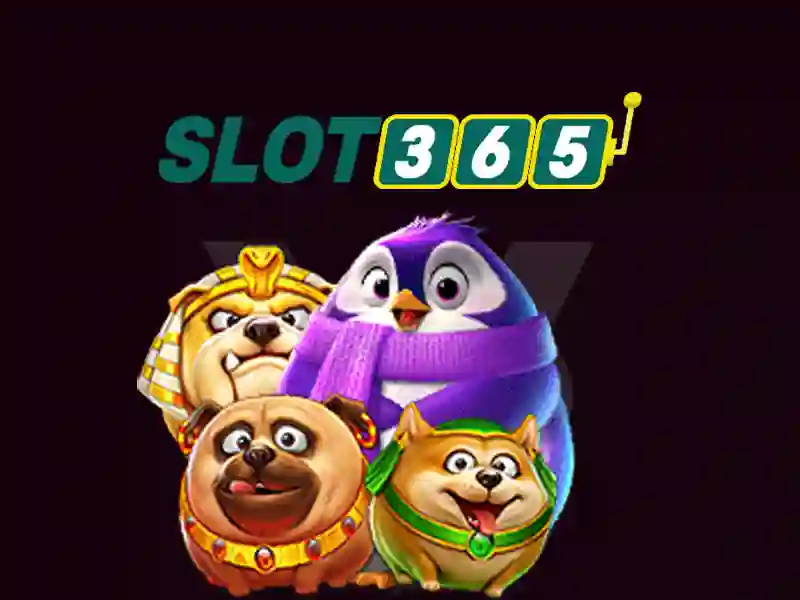 Hỗ trợ Slot365 - Dẫn đường thành công cho người chơi