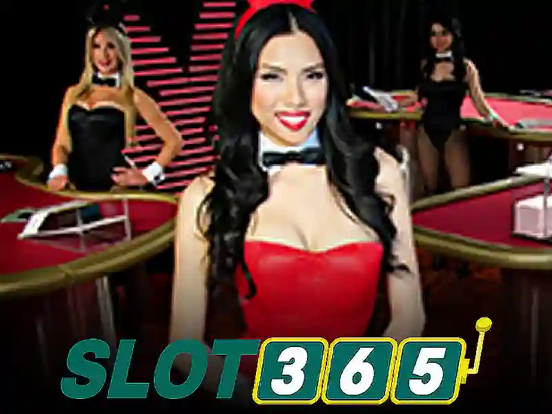 Slot365 là gì?
