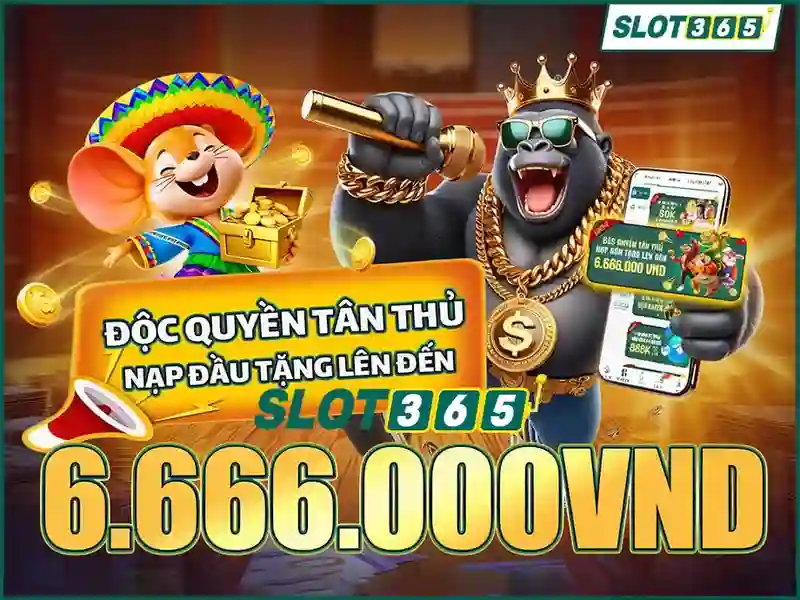Trải nghiệm người dùng và bố cục