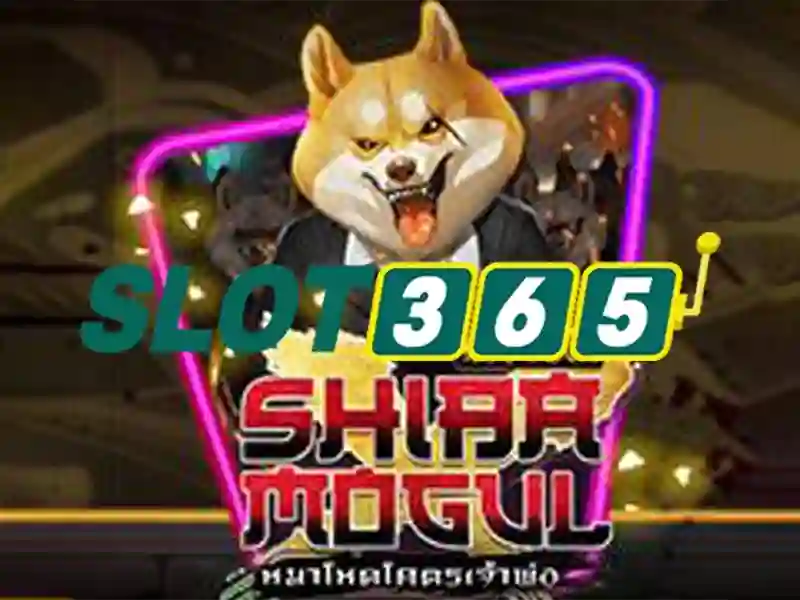 Slot365 - Nền tảng trò chơi máy đánh bạc hiện đại